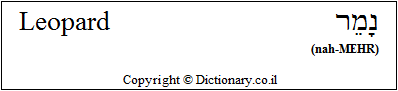 'Leopard' in Hebrew