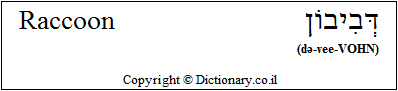 'Raccoon' in Hebrew
