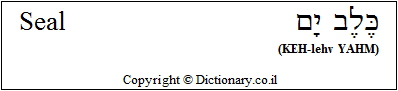'Seal' in Hebrew