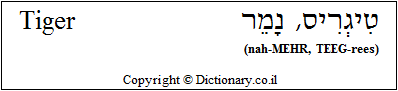 'Tiger' in Hebrew