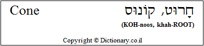 'Cone' in Hebrew