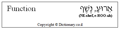 'Function' in Hebrew