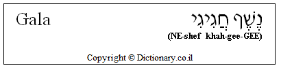 'Gala' in Hebrew