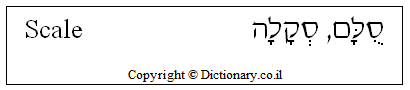 'Scale' in Hebrew