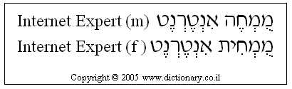 'Internet Expert' in Hebrew