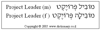 'Project Leader' in Hebrew