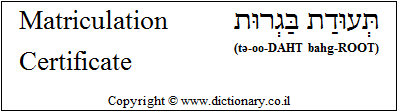 'Matriculation Certificate' in Hebrew