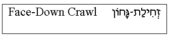 'Face-Down Crawl' in Hebrew