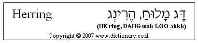 'Herring' in Hebrew