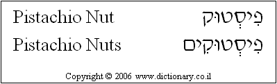 'Pistachio Nut' in Hebrew
