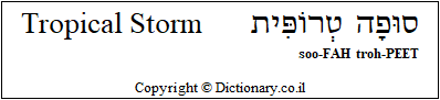 'Tropical Storm' in Hebrew 'Tropical Storm' in Hebrew